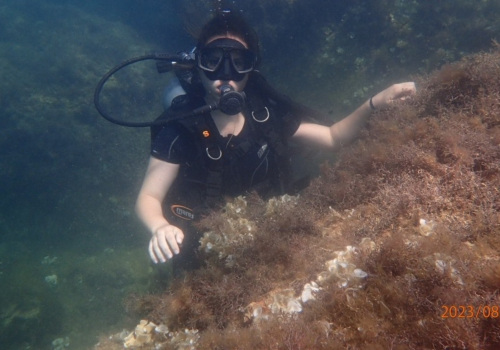 divingvk 5
